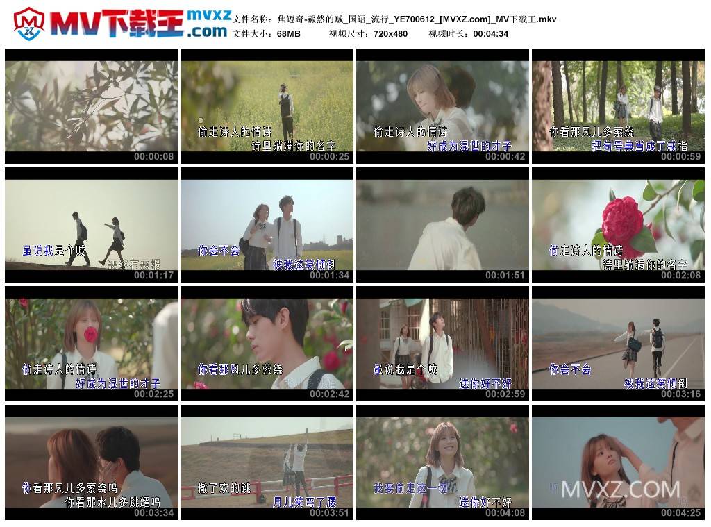 焦迈奇-赧然的贼_国语_流行_YE700612